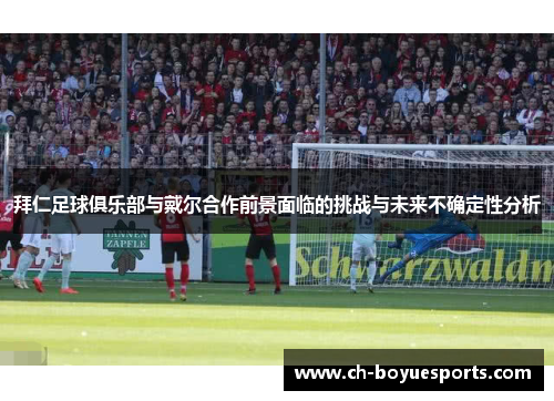 拜仁足球俱乐部与戴尔合作前景面临的挑战与未来不确定性分析 拜仁足球俱乐部与戴尔合作前景面临的挑战与未来不确定性分析