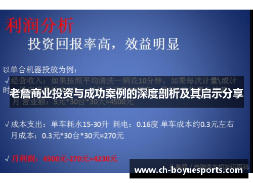 老詹商业投资与成功案例的深度剖析及其启示分享
