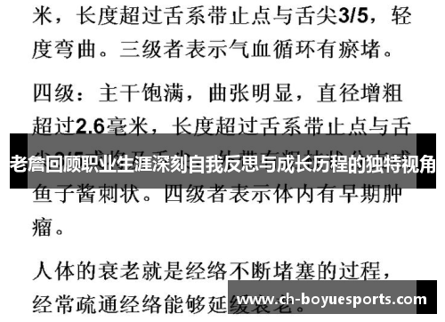老詹回顾职业生涯深刻自我反思与成长历程的独特视角